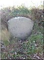 Old Milestone by the A386, Friar