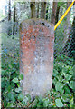 Old Milestone by Newland Street, south west of Coleford