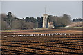 TM4151 : Seagulls on a ploughed field at Sudbourne by Simon Mortimer