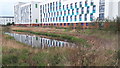 University of Essex student residences reflected in pond