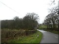 Wooded valley south of Stibb Cross