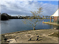 The Lake at Taylor Park