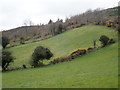 Intake land on the slopes of Ballymacdermot Mountain