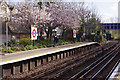 Kew Gardens Station