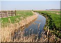 TM4598 : One of many drainage ditches in the Haddiscoe Marshes by Evelyn Simak