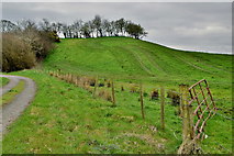H5371 : A low hill, Bancran by Kenneth  Allen