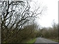 Road across Common Moor approaching Powler