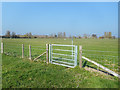 Footpath Gate