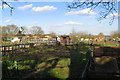 Parkwood allotments