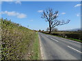 B4368 near Milford Lodge