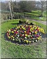 Flower border by the entrance to Bingham Park