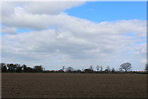 SE5642 : Field off Daw Lane by Chris Heaton