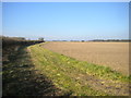 Field north of Scarrington (1)