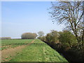 Footpath alongside The Grimmer