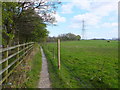 Path North of Wardley Grange