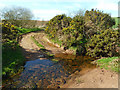 A Ford On Chapelton Burn