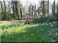 Merton War Memorial