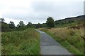 Path towards the Tarn