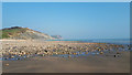 SY3692 : Charmouth Beach by Vieve Forward