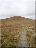 NY7032 : Bound for Little Dun Fell by James T M Towill