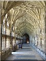 SO8318 : The cloisters, Gloucester Cathedral by Philip Halling