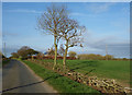 Hedge Laying at Broom Hill