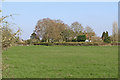 Pasture west of Nurton in Staffordshire