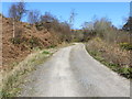 Forestry track near to Kildonan