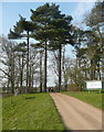 The exit driveway in Knebworth Park