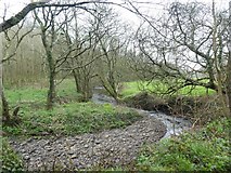 SS2323 : Stream flowing towards Speke's Mill Mouth by David Smith