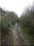SS2323 : Gate and cattle grid near Speke's Mill Mouth by David Smith