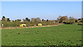 Pasture west of Nurton in Staffordshire