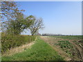 Field by Castle View Road