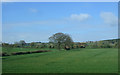 Crop field near Leamoor Common