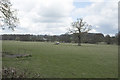 Lush farmland