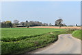 Fields near Woodlands Farm