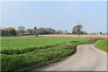 TM1637 : Fields near Woodlands Farm by Simon Mortimer