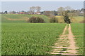 The footpath to Brook Farm