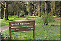 TL8294 : Lynford Arboretum by Stephen McKay