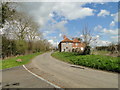 Cottages on Cressingham Road, Ashill