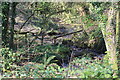 Nant Felen near Cwm Farm