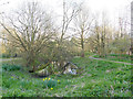 SE2836 : Grove Lane nature area - pond by Stephen Craven