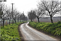 TM2134 : Tree-lined lane to Ness Farm, Erwarton by Simon Mortimer