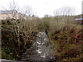 Vigorous flow on the Rhymney River, Rhymney