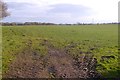 Field, Wellknowe