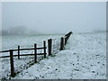 Gate and fenceline near Crowfield