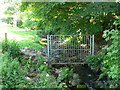 Stream with a barrier near Crymlyn Farm