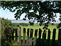 Slate fencing near Crymlyn