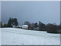 Grazing, Llanddewi Skirrid