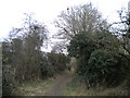 Bridleway north of Wall Heath